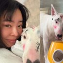 A+중앙통합복지센터 이미지