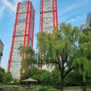 서림 행정사사무소 이미지