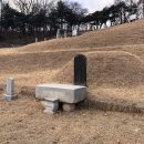 류진동선생묘 및 신도비 이미지