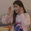 화이트돌핀 이미지