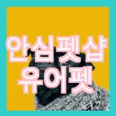 유어펫그루밍