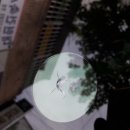 부산자동차유리복원 - 해운대구 마린시티2로 2 | 부산자동차유리복원