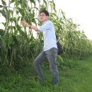 충주중앙탑초등학교 이미지