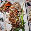 아요하우스 이미지