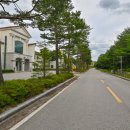 설악스카이 이미지