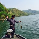고바우낚시 - 춘천시 당간지주길 80 | 고바우낚시