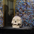 늘푸른약국 | [전시/서울] 국립현대미술관 <데이미언 허스트> 전시 예약방법/후기/꿀팁 총정리