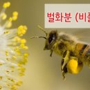 에스지상사 이미지