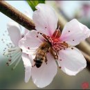 산뜰 이미지
