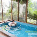 샤인히얼60 이미지