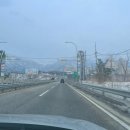 빌림 | [고성/속초] 소노펠리체 델피노 대가족 여행 로얄스위트룸 취사 파노라마뷰 후기 (feat.객실 2개 빌림)