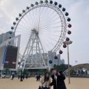 ㈜청호 | 속초 여행 아이와 가볼 만한 곳, 속초아이 대관람차와 속초 해변