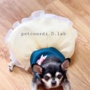 펫코디디자인연구소
