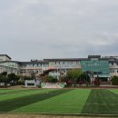 중문동-1 Daum카페