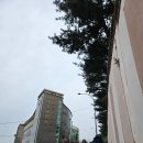 화산농장3 | 서대문자연사박물관 박물관교실 4학년 <화산폭발> 후기, 일요일 운영시간, 층별 예약 필수 프로그램