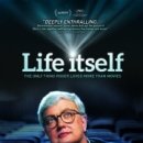 잇셀프(itself) 이미지