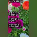 오늘의 행복