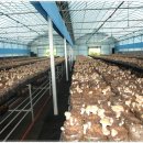 김동일농장 이미지