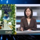 메타인터내셔널