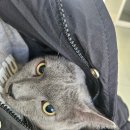 비나인동물병원 이미지