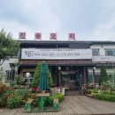 진송오리 이미지