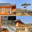 대경로 소나무 | [travel life] 왕릉 뷰가 멋진 경주 감성 한옥 숙소 춘추관 &#39;화백재A&#39; 후기(객실 선택 추천)