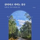 카미노 이미지