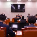 C.T.종합동물병원 데일리벳