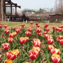 성주카병원 이미지