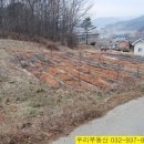 인천광역시 강화군 선원면사무소 이미지