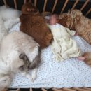 여디디야치과교정과치과의원 이미지