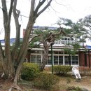 짱구청과 - 영광군 봉덕로9길 8 | 짱구청과
