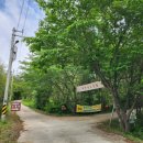 유천1제 이미지