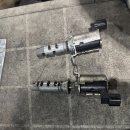 VVT Sol V/V 사망 이미지