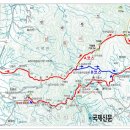 구룡약품 Daum카페