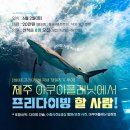 (주)제주프리투어 | 제주 아쿠아플라넷 프리다이빙 체험 시간 창원 화이트 프리다이빙 투어