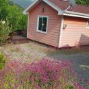 유구펜션 이미지