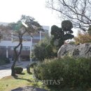 대륜고등학교