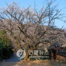 가비장의 이미지