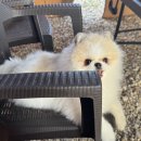 초정힐링캠핑장 이미지