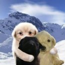 강남이네민박 | 퍼즐팩토리 강남점 - 공포 크라임씬,, 이렇게 재밌는 거였어요? 극쫄의 폐가 살인사건 후기! 🏚️