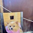 울타리손칼국수 이미지