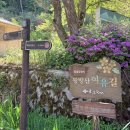 [포천 왕방산]분홍빛 철쭉 물결이 장관인 왕방산 오지재고개 코스 후기