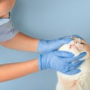 논현동물병원 이미지