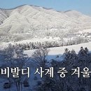 비발디사계 이미지