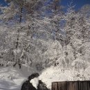 자연온천여관 이미지