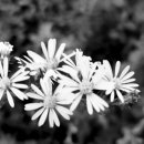 산생경로당 네이버블로그