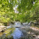 사나사(초입) 이미지