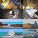 신지훈 카카오 검색결과