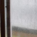 동해TC 네이버블로그